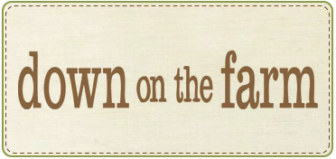 Pattern Down on the Farm